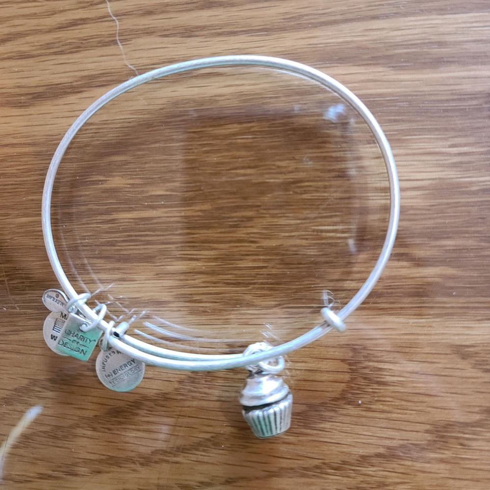 alex and ani bracelet